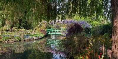 The Water Garden at Giverney.
